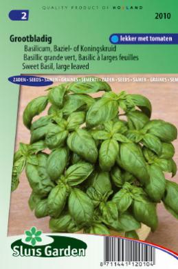 Basil large leaved (Ocimum basilicum) 625 seeds SL